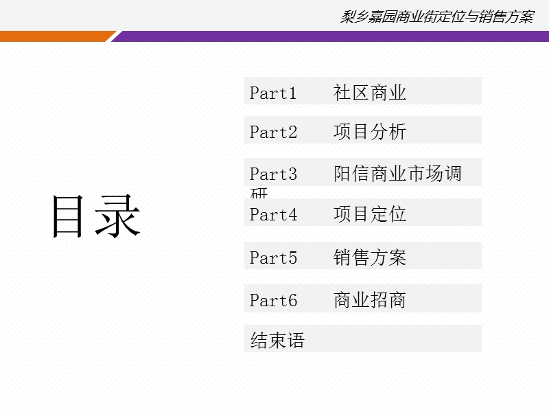 梨乡嘉园商业街定位与销售方案82p.ppt_第2页