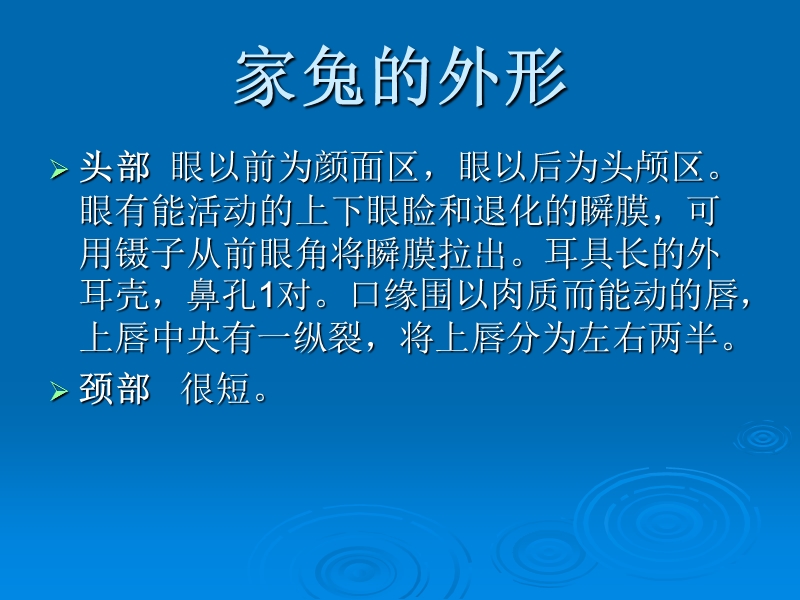 家兔的观察与解剖.ppt_第3页