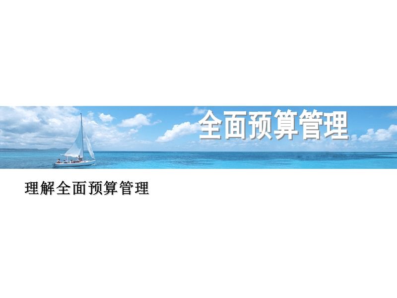 企业管理之全面预算管理培训资料(2010年9月20日).ppt_第3页