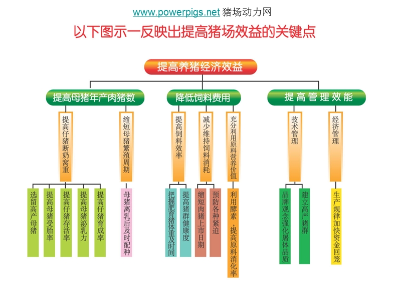 夏季母猪易发疾病的综合防治方法.ppt_第2页