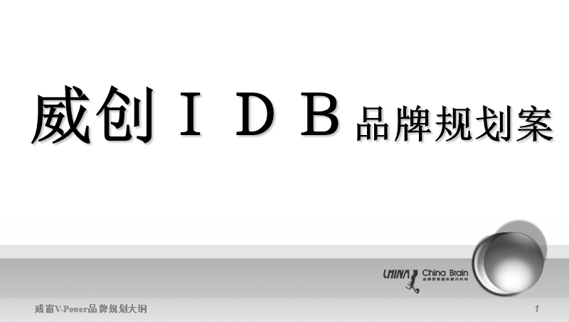 威创idb品牌规划案.ppt_第1页