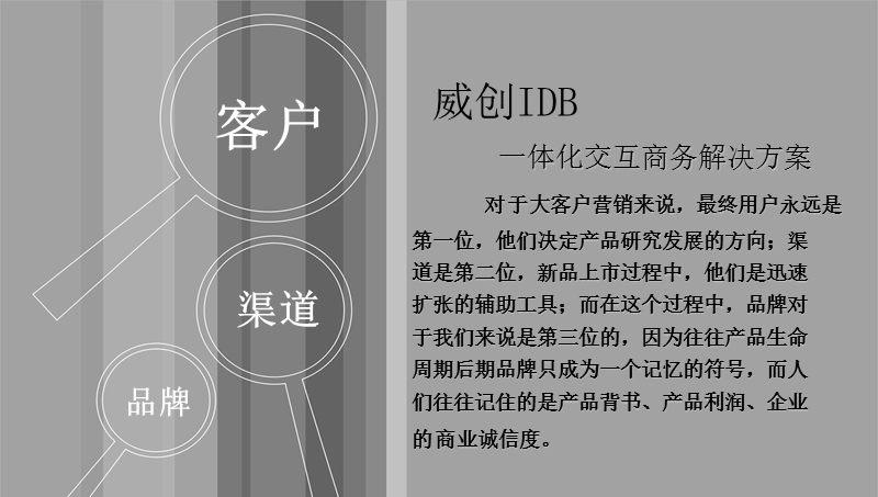 威创idb品牌规划案.ppt_第2页