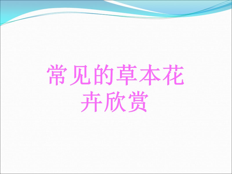 常见的草本花卉欣赏.ppt_第1页