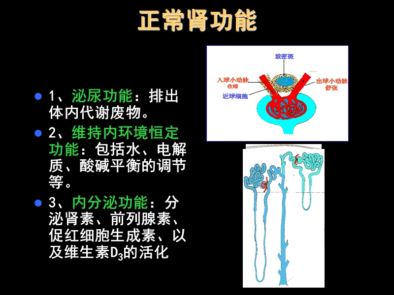 急性肾损伤.ppt_第2页