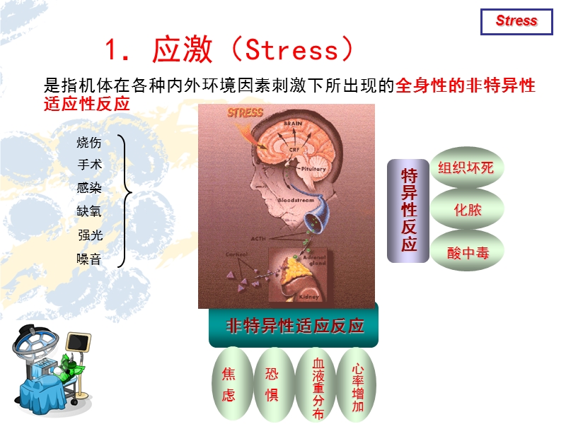 右美托咪定综述.ppt_第3页