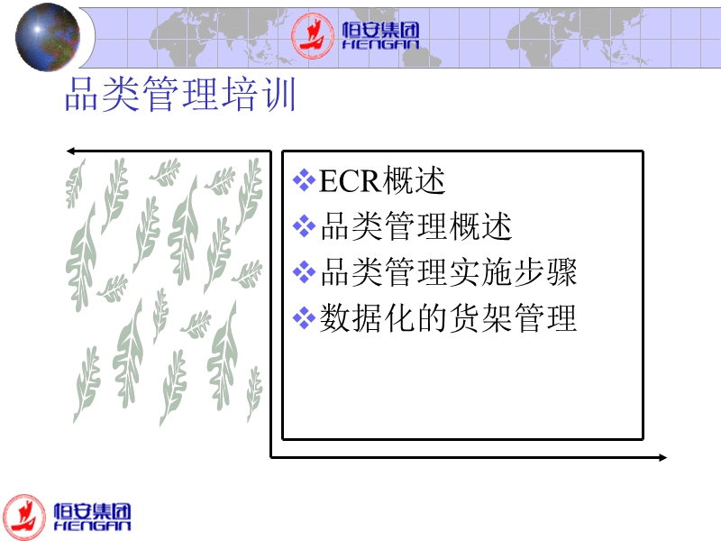 恒安集团品类管理课程概述.ppt_第2页