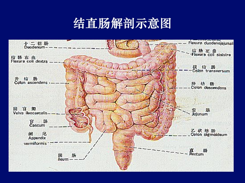 结直肠癌治疗现状.ppt_第2页