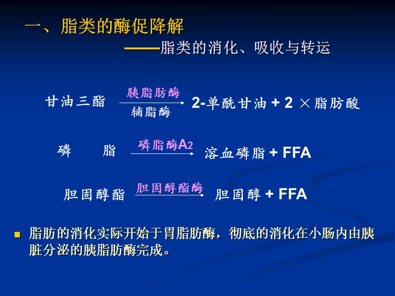 脂类代谢.ppt_第2页