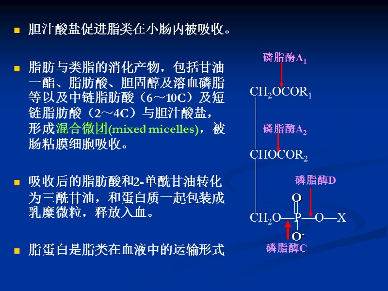 脂类代谢.ppt_第3页