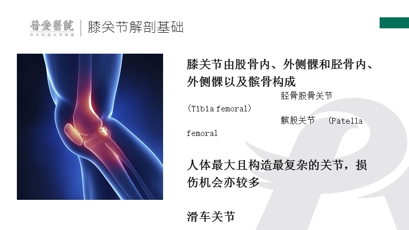 膝关节解剖基础与常见疾病诊疗.ppt_第3页