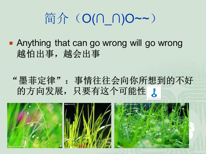 墨菲法则.ppt_第2页