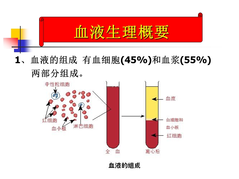 第一章_血液检验.ppt_第2页