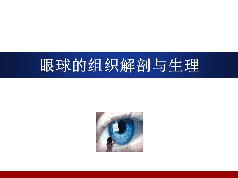 眼球的组织解剖与生理.ppt_第1页