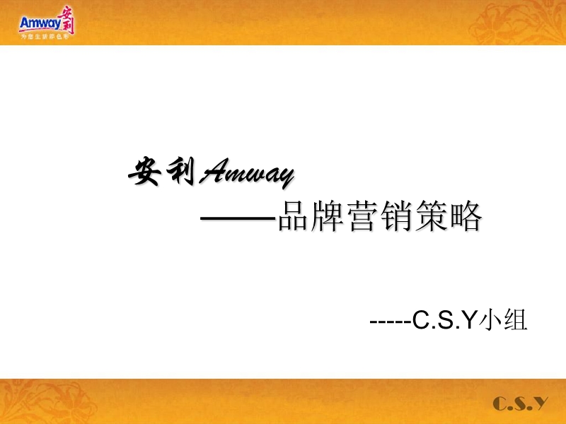 安利amway——品牌营销策略.ppt_第1页