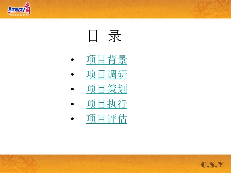 安利amway——品牌营销策略.ppt_第2页