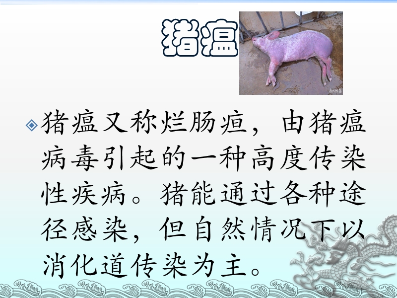 猪的常见病毒病防治.pptx_第2页