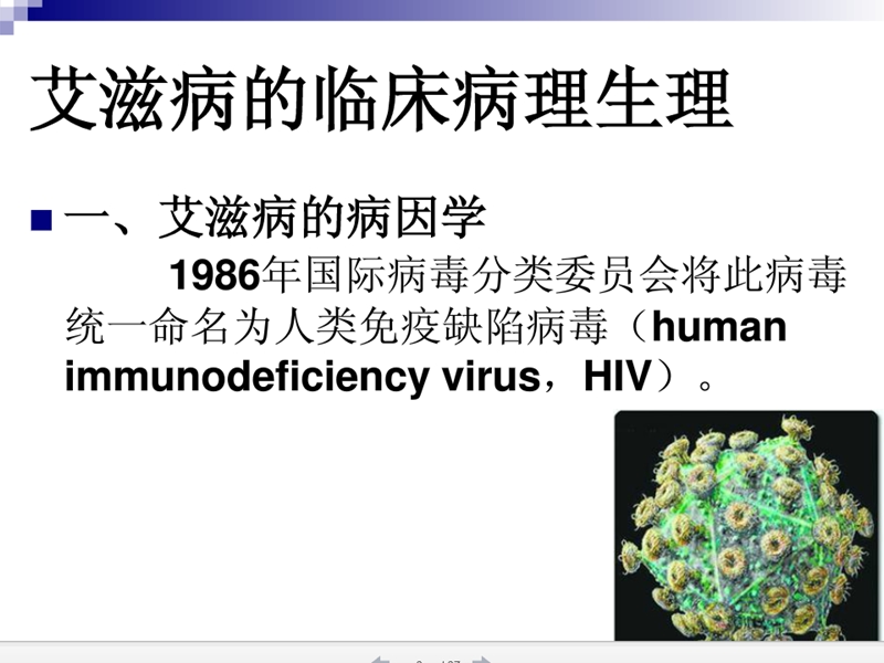 艾滋病人麻醉.ppt_第2页