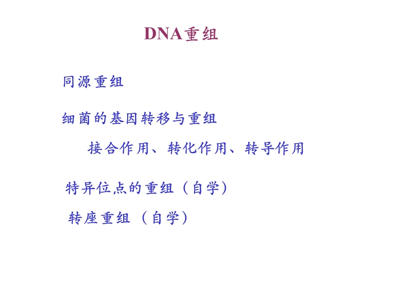 第十章-重组dna技术.ppt_第3页