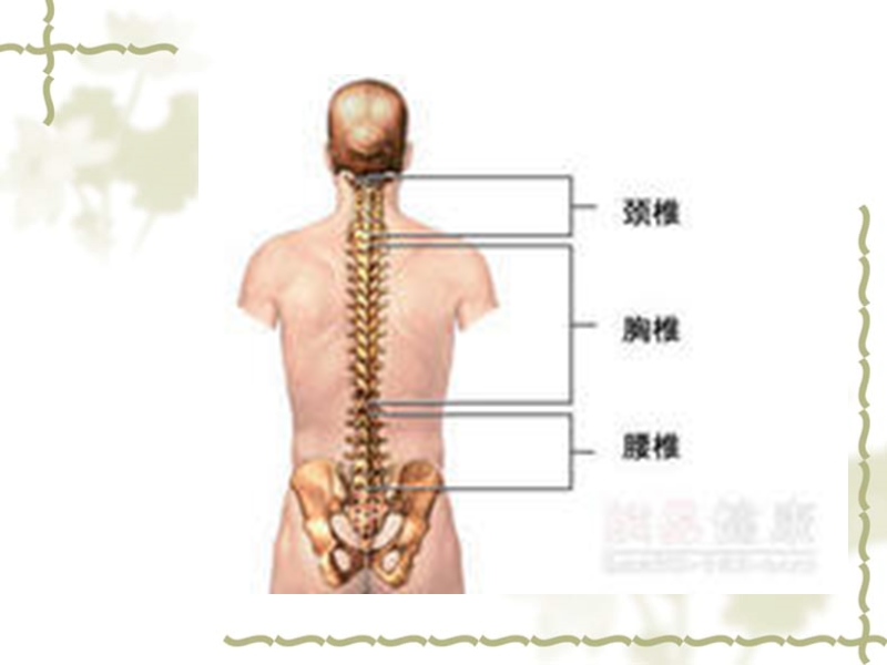 腰椎间盘突出症课件.ppt_第3页