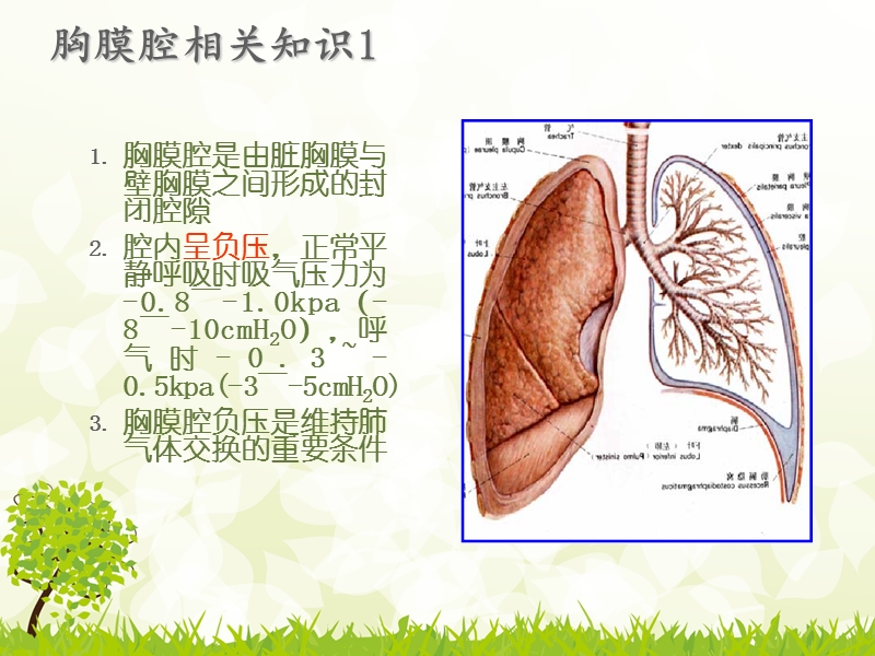 胸腔闭式引流置管患者的护理.ppt_第2页