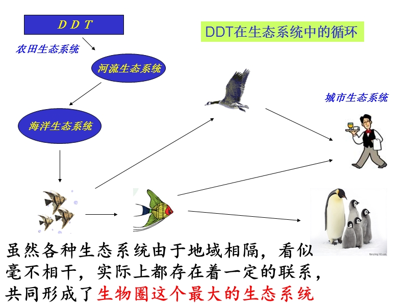 生物圈是最大的生态系统.ppt_第2页