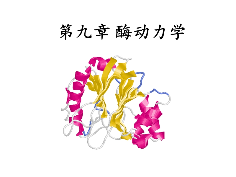 酶动力学 PPT课件.ppt_第1页