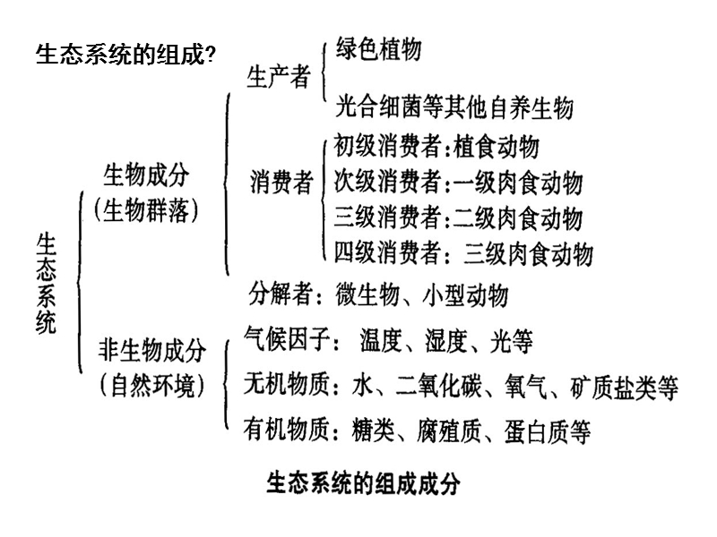 第七章-生物群落与生态系统.ppt_第3页