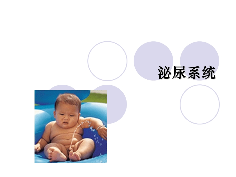 泌尿系统(生理).ppt_第1页