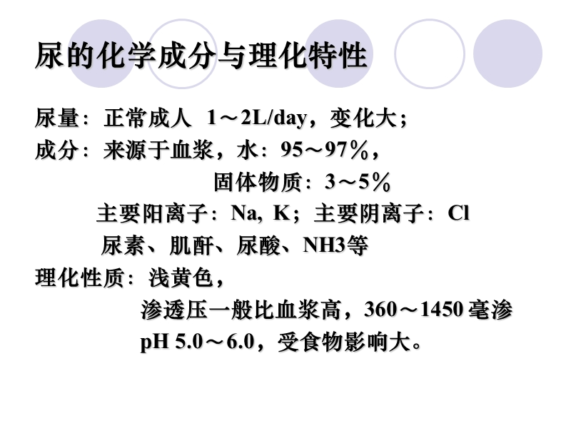 泌尿系统(生理).ppt_第2页