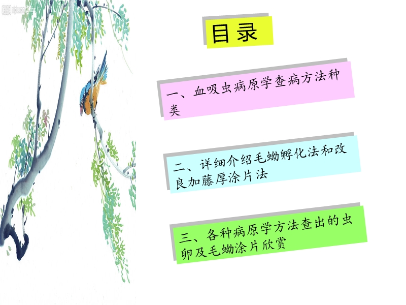 血吸虫病原学检查.ppt_第2页