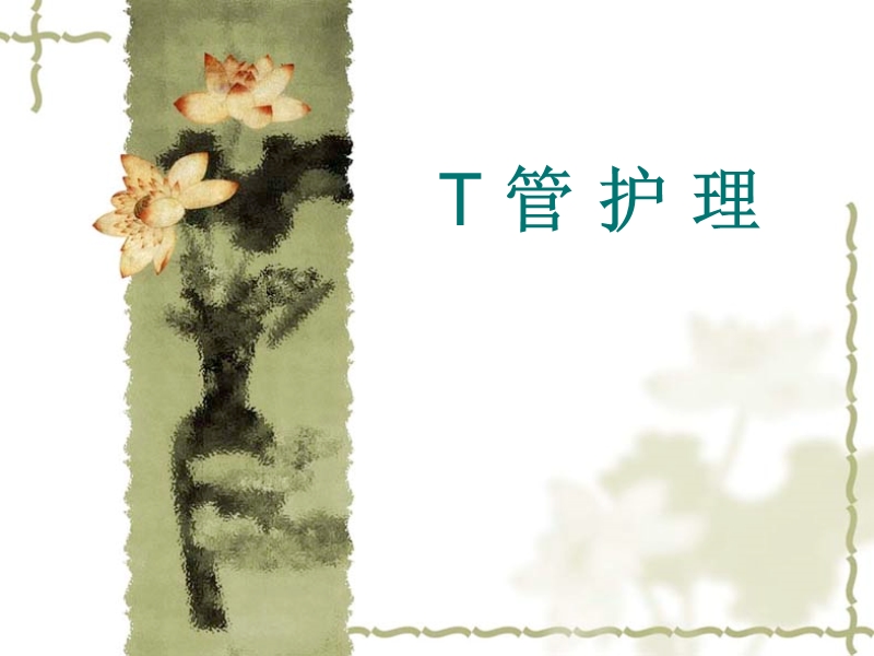 T管护理 PPT.ppt_第1页