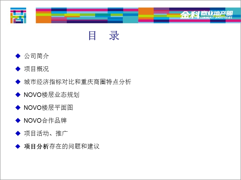 重庆novo百货商业调查报告（2010年）.ppt_第2页