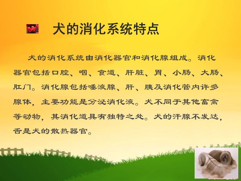 第三章-犬猫营养饲料0628.ppt_第3页