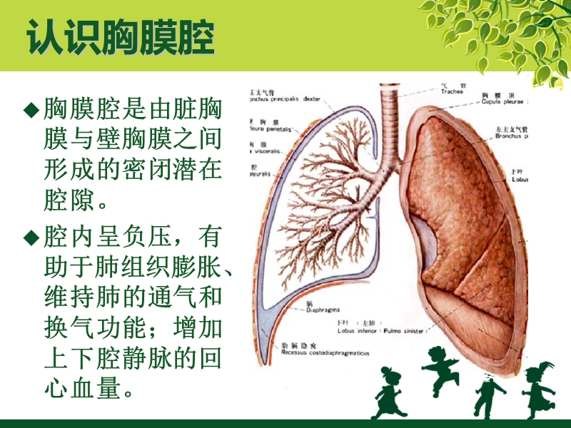 胸腔闭式引流及护理.ppt_第3页