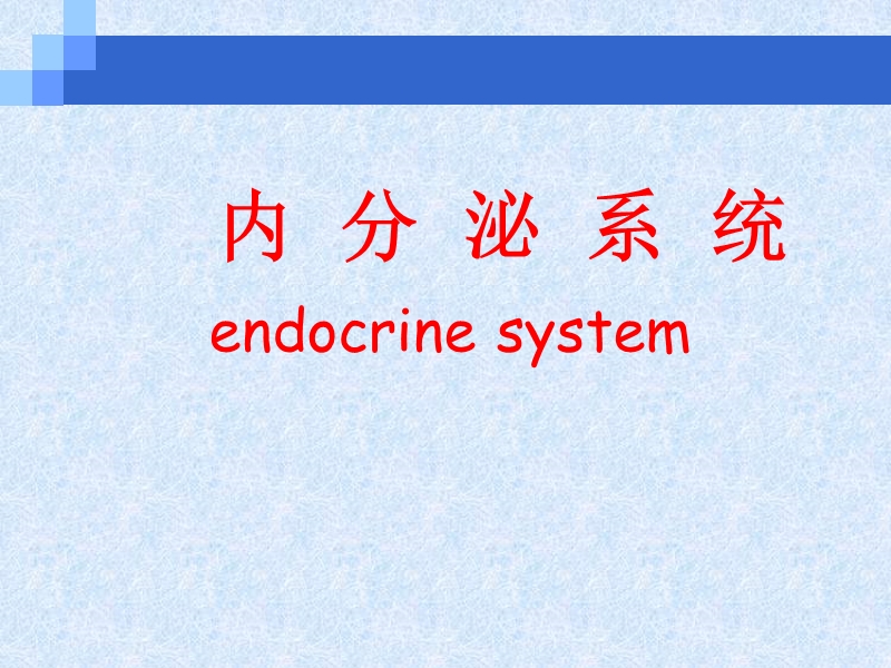 第十一章、内分泌系统理论课.ppt_第1页