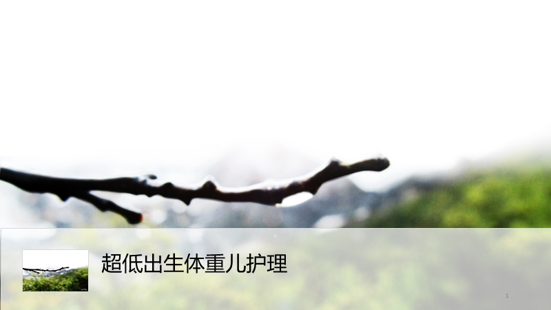 超低出生体重儿护理.ppt_第1页