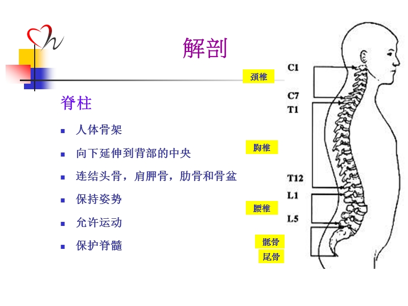 脊髓损伤患者的护理.ppt_第3页