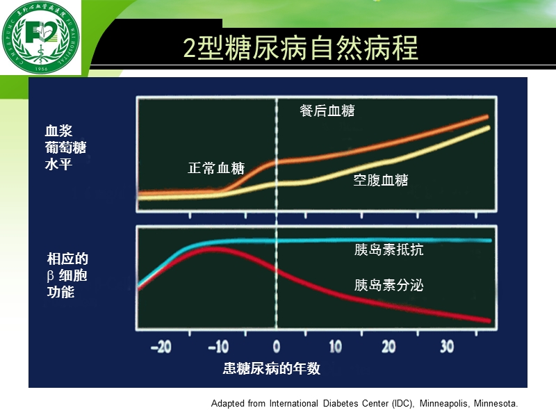 糖尿病口服降糖药物治疗.ppt_第2页