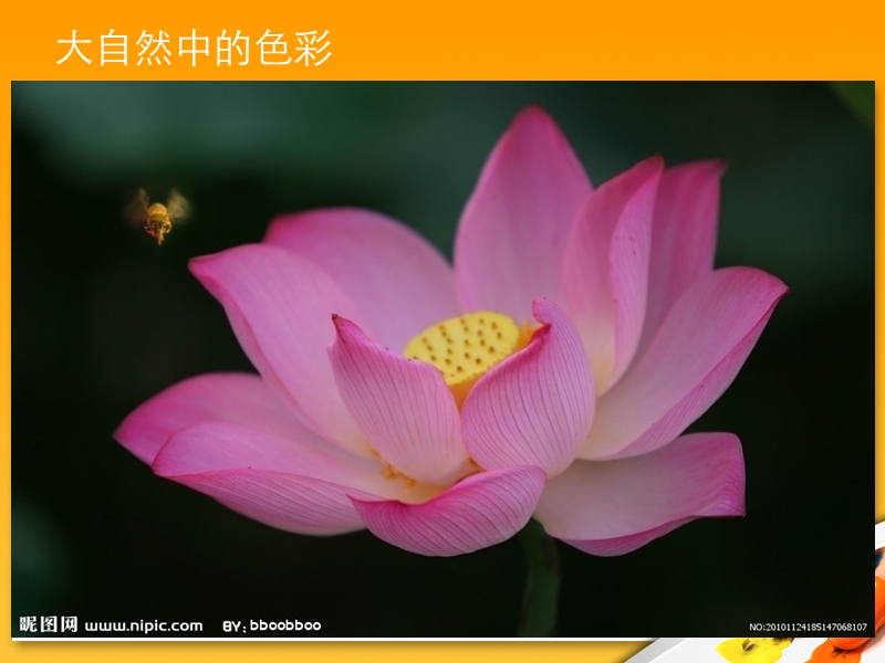 色彩的感染力.ppt_第2页