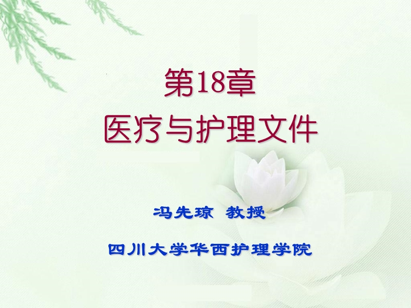 章医疗与护理文件.ppt_第1页