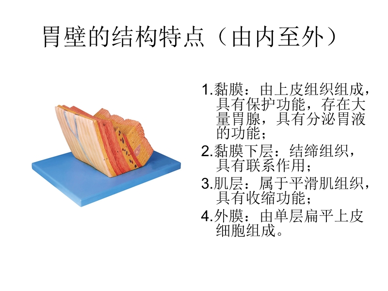 器官是由什么构成的.ppt_第3页