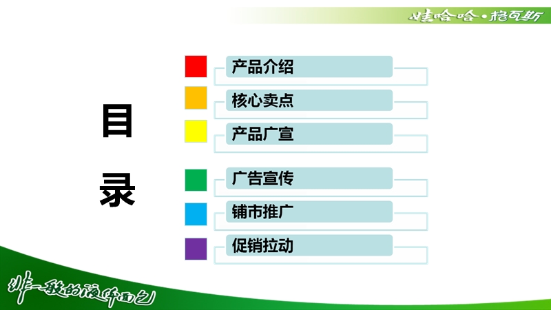 娃哈哈格瓦斯上市推广方案(20131).ppt_第2页