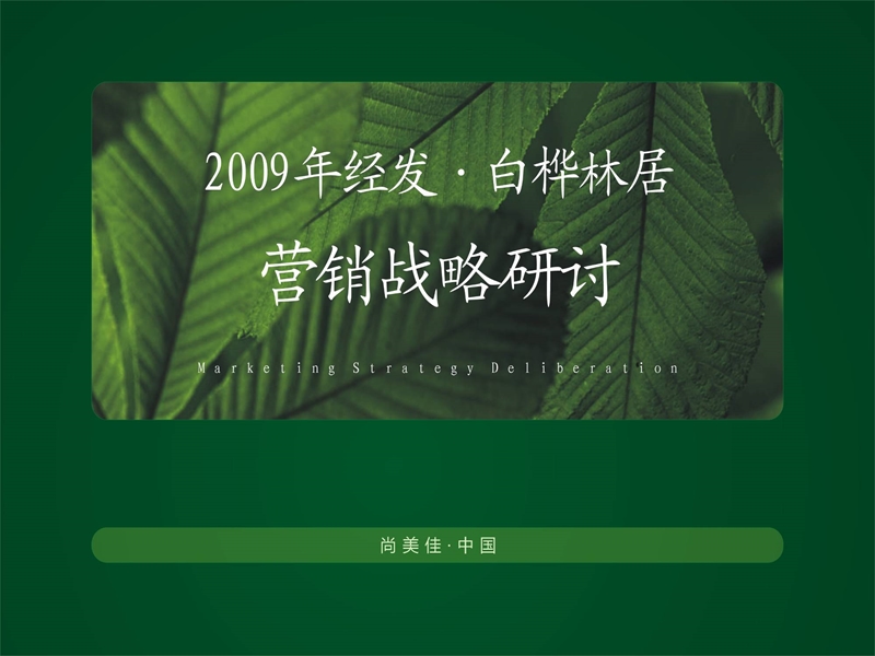 尚美佳2009年西安经发白桦林居营销战略研讨.ppt_第1页