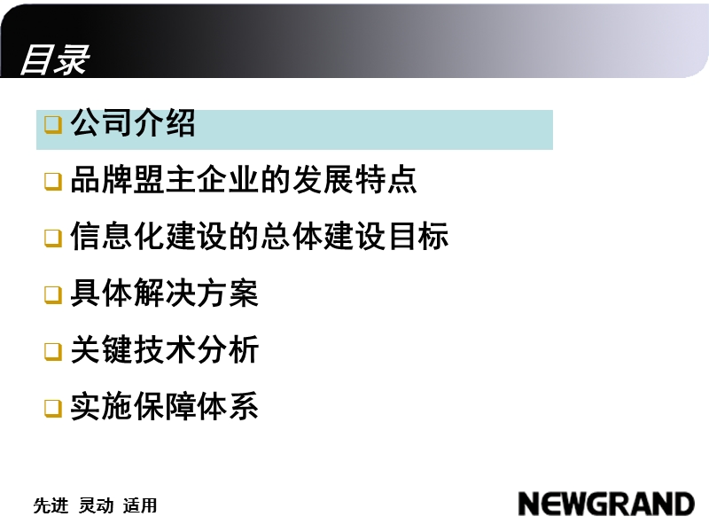 品牌盟主企业信息化解决方案.ppt_第2页