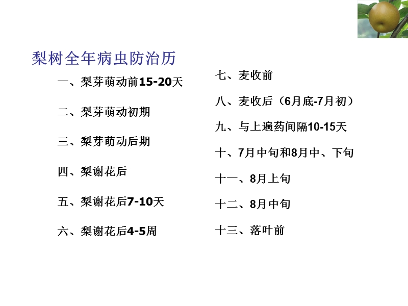 金秋梨全年病虫防治历.ppt_第2页