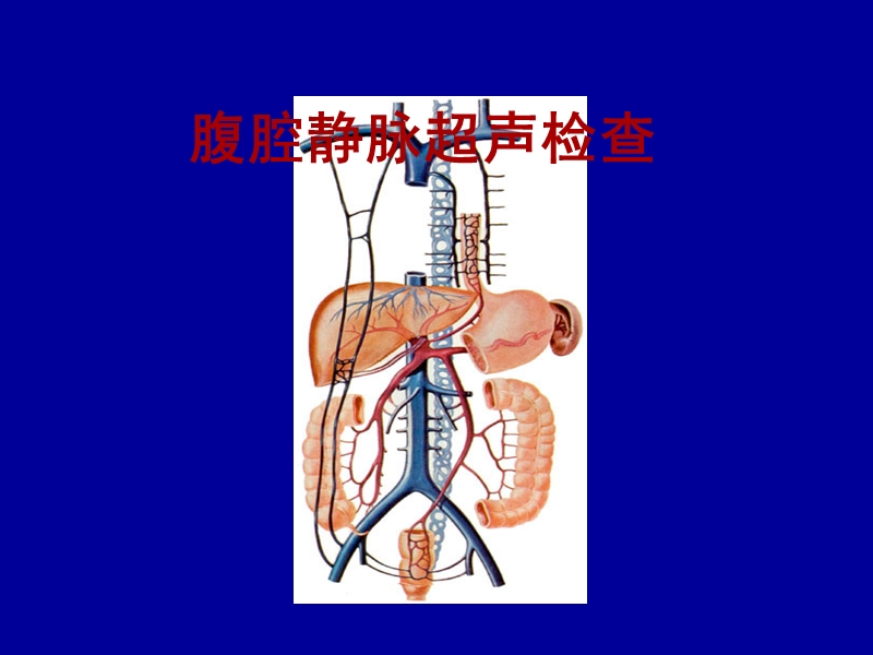 腹腔静脉超声检查.ppt_第1页