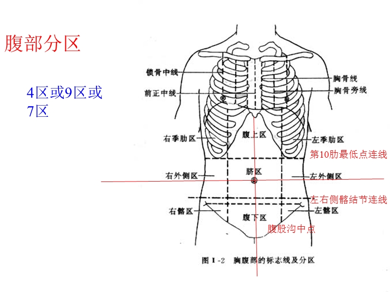 腹部超声常规切面.ppt_第2页