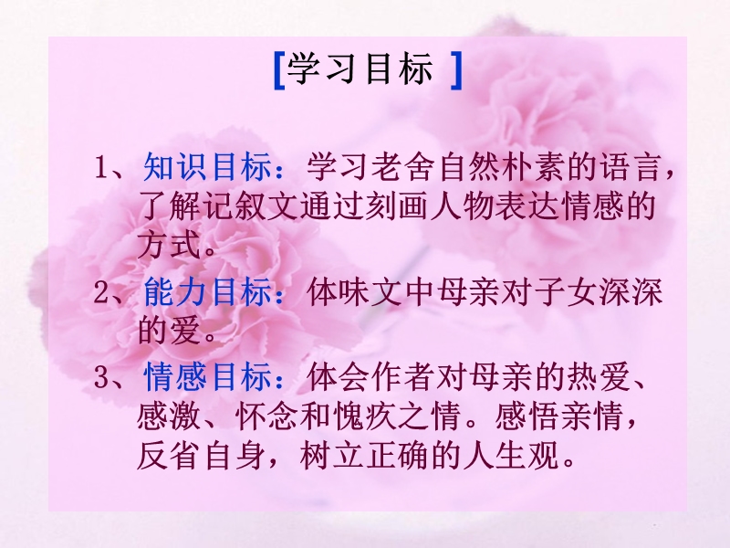 同题散文两篇课件 我的母亲.ppt_第3页