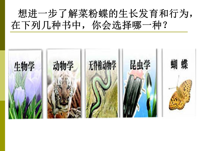 尝试对生物进行分类课件.ppt_第2页