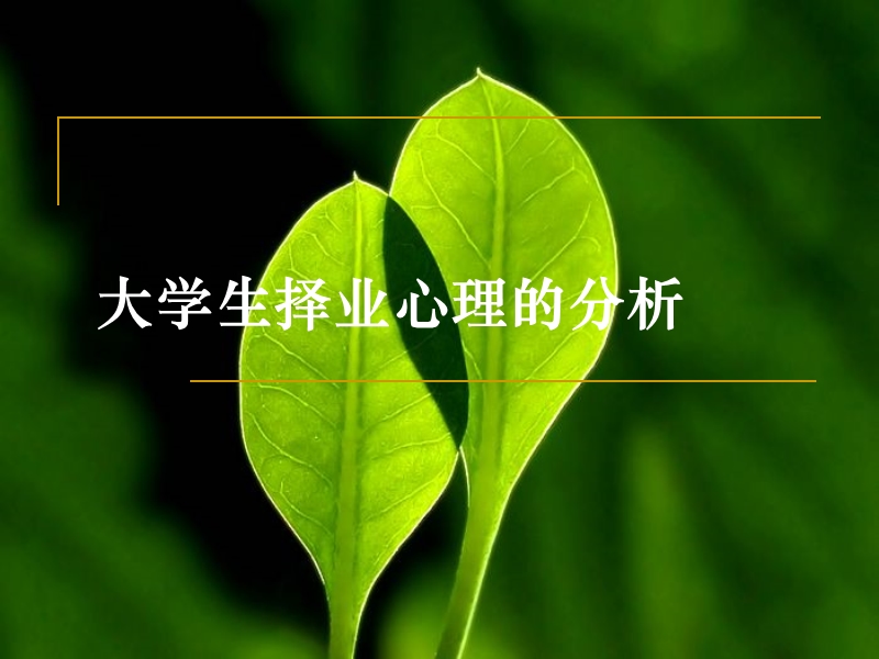 就业心理指导与调试 PPT.ppt_第2页